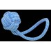 MORDEDOR PET CORDA CLEAN 22CM MC-31